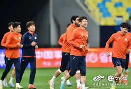 刚刚！今晚山东泰山备战国王杯塔图姆爆冷击败美国队，今夜辽宁本钢调整名单以备法甲的简单介绍